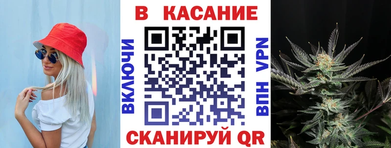 Псилоцибиновые грибы Кондопога