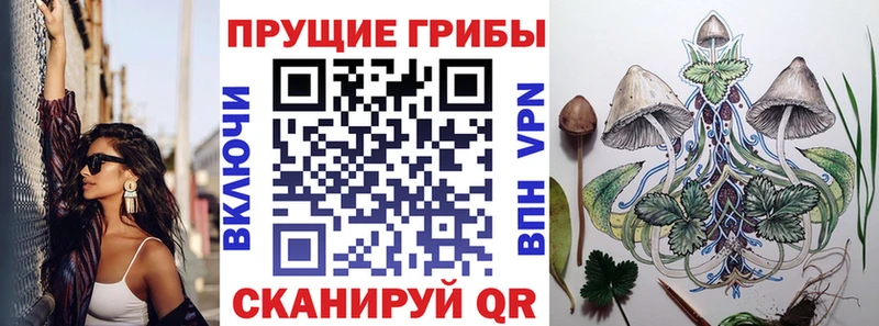 Купить где  Кондопога  Псилоцибиновые грибы GOLDEN TEACHER 